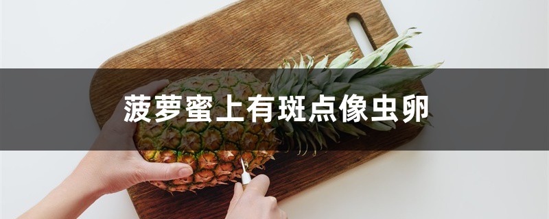 菠蘿蜜上有斑點(diǎn)像蟲(chóng)卵怎么回事